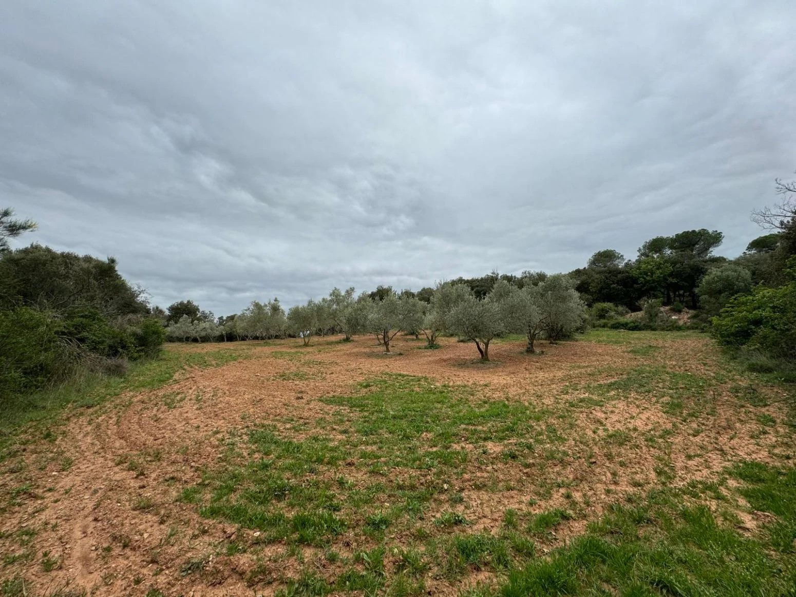 Masia en venta a Sant daniel Girona