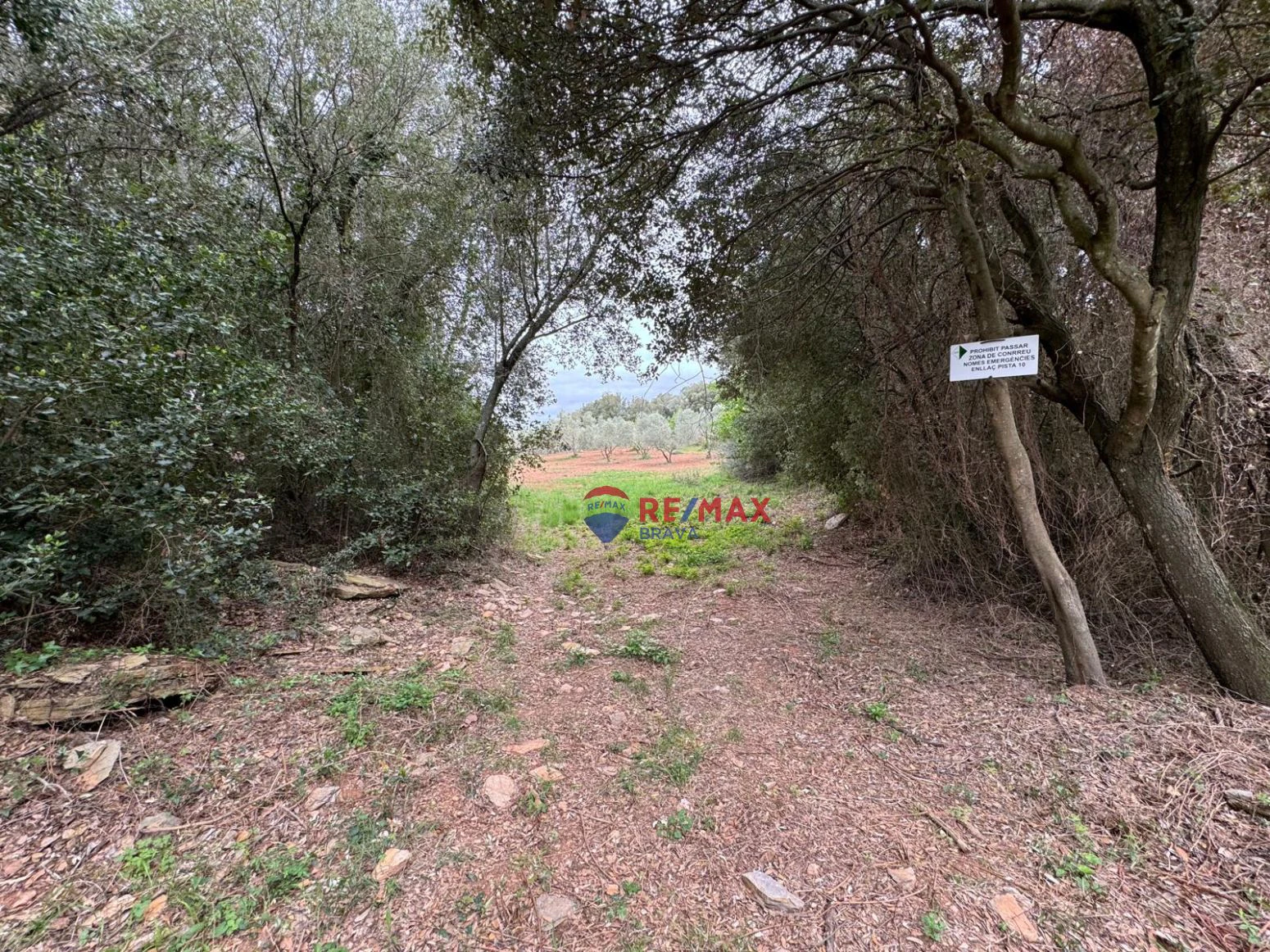 Masia en venta a Sant daniel Girona