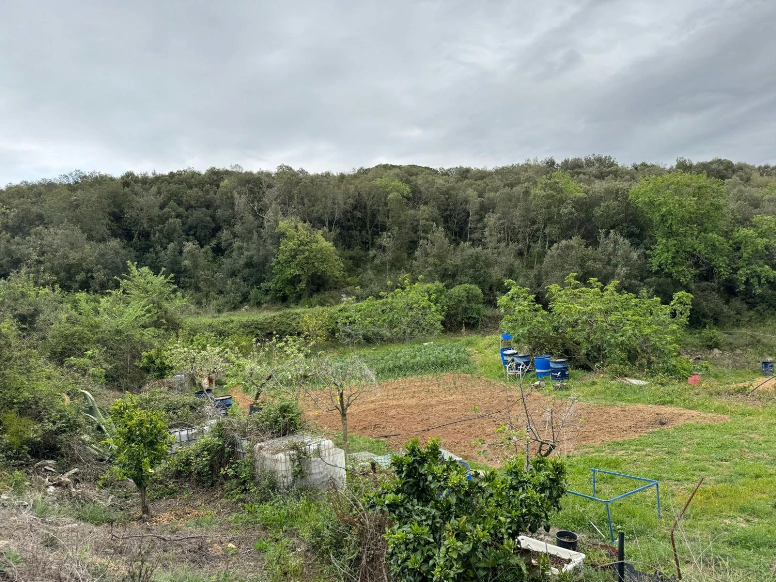 Masia en venta a Sant daniel Girona