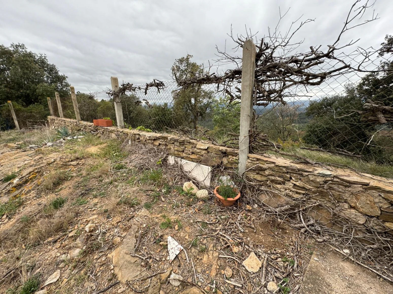 Masia en venta a Sant daniel Girona