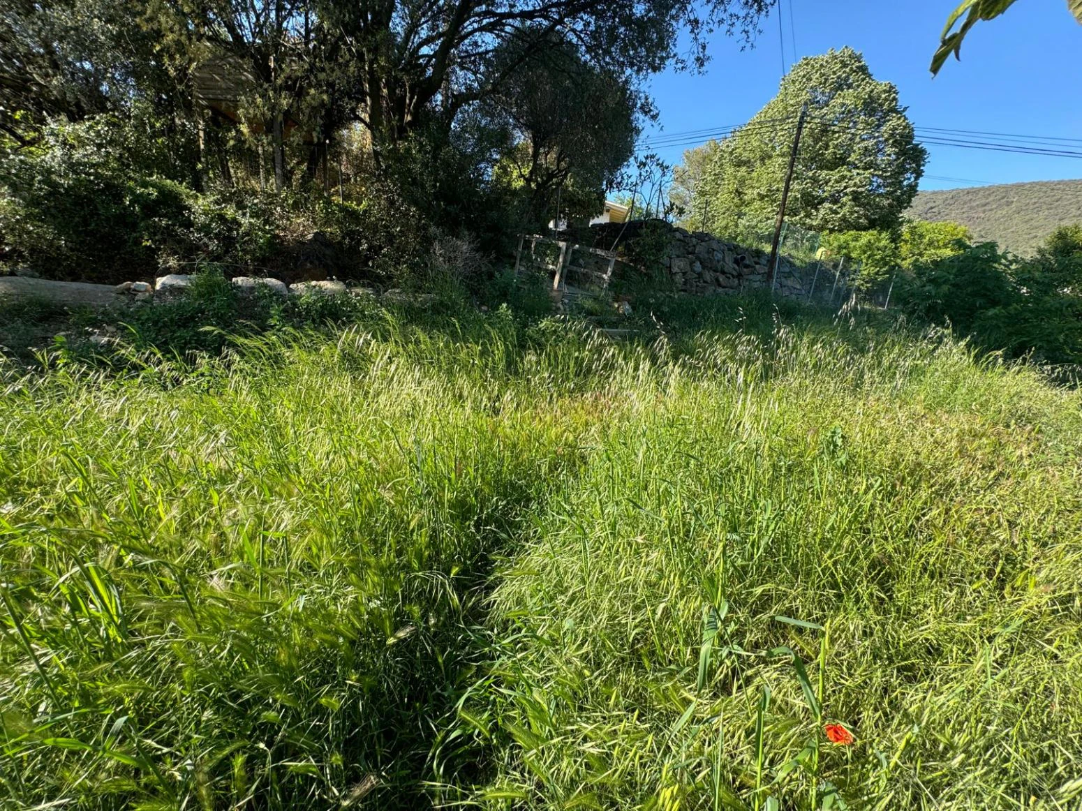 Finca en venta a Llora en Girona , en el pueblo de Sant Mart