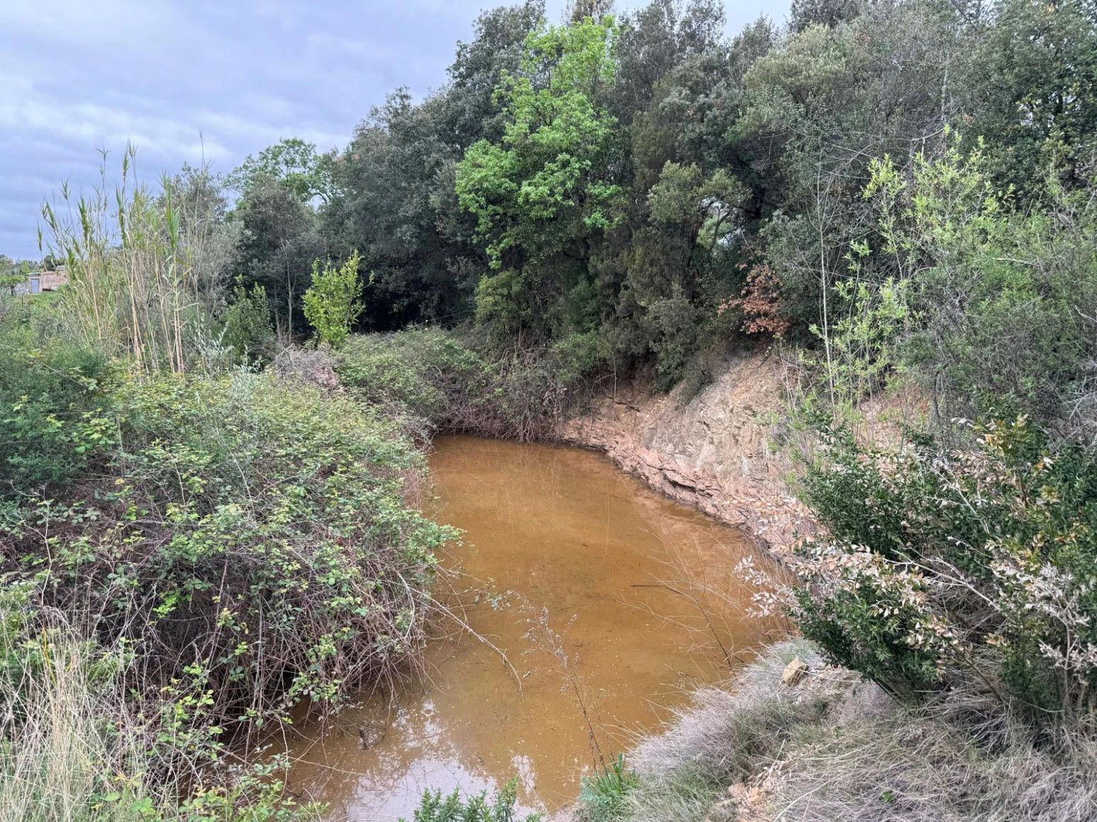 Masia en venta a Sant daniel Girona
