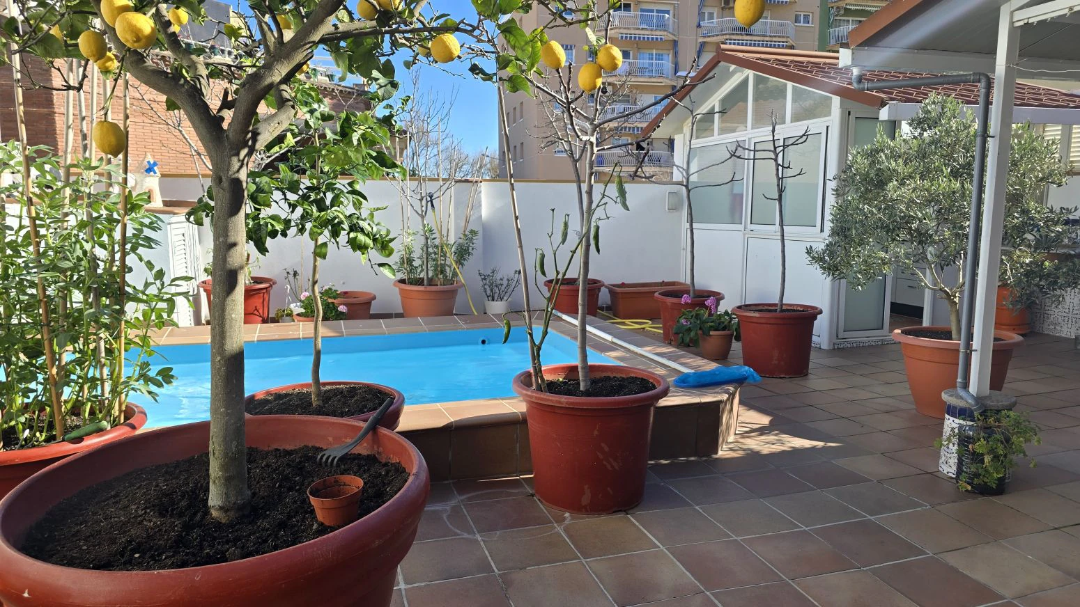 Vive arriba, opera abajo: casa + taller con ascensor y terra