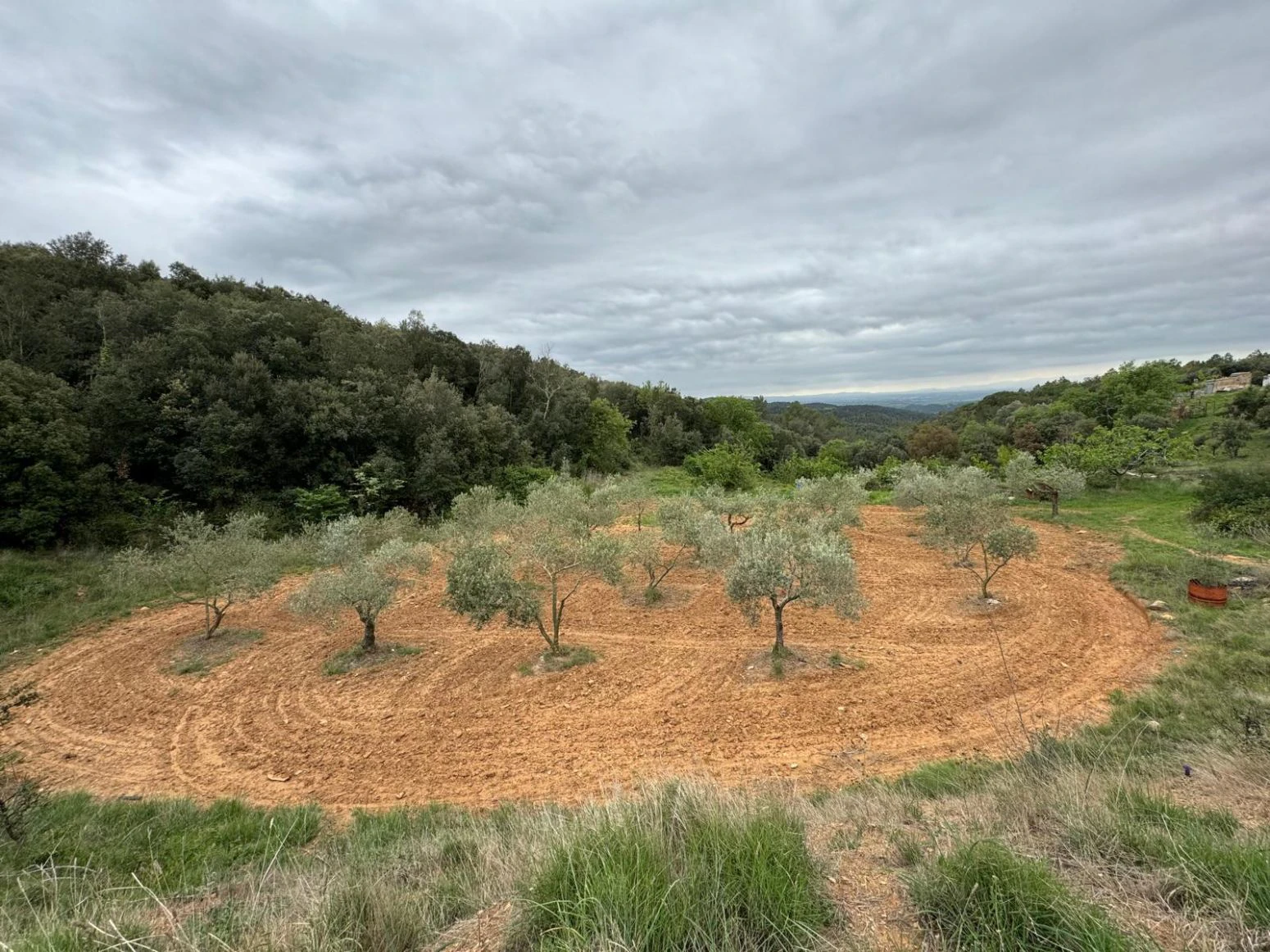 Masia en venta a Sant daniel Girona
