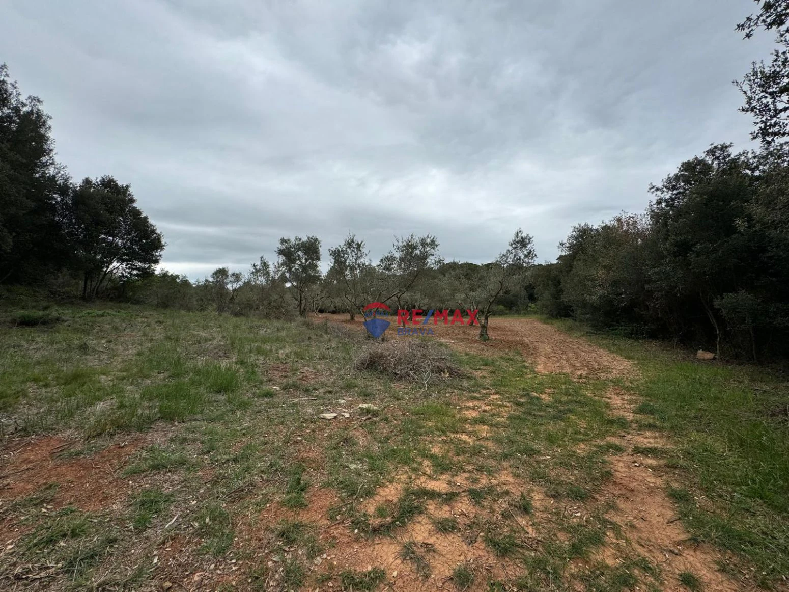 Masia en venta a Sant daniel Girona