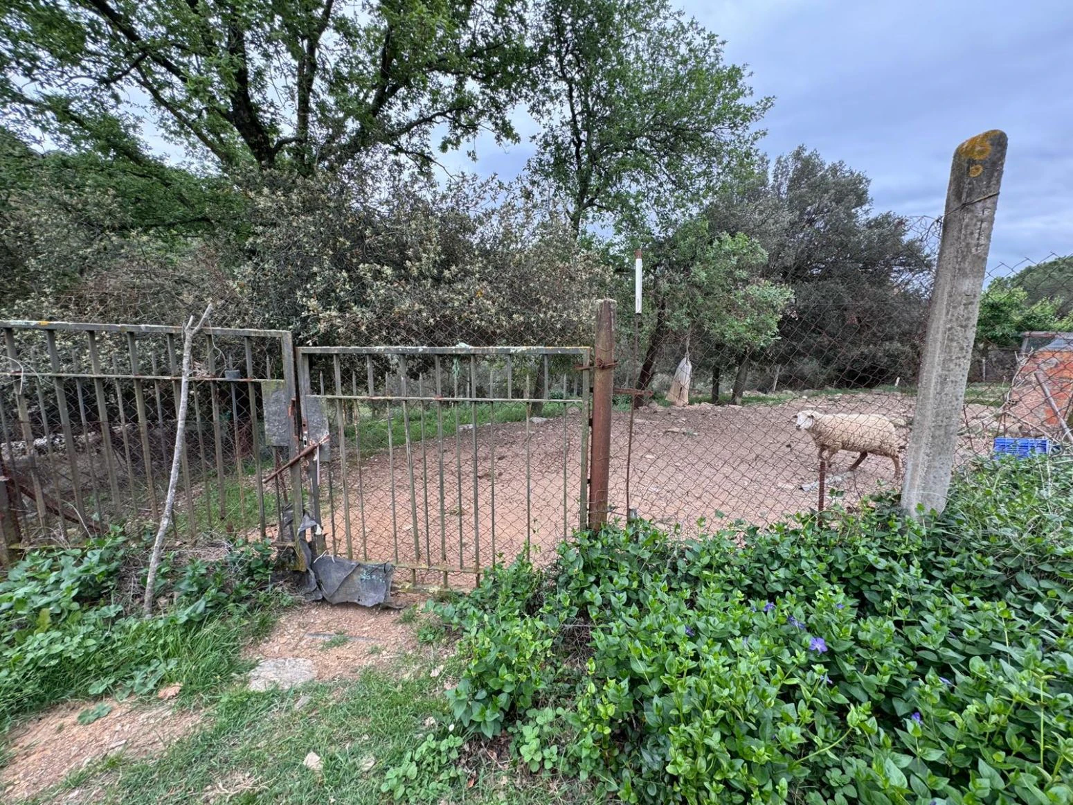 Masia en venta a Sant daniel Girona