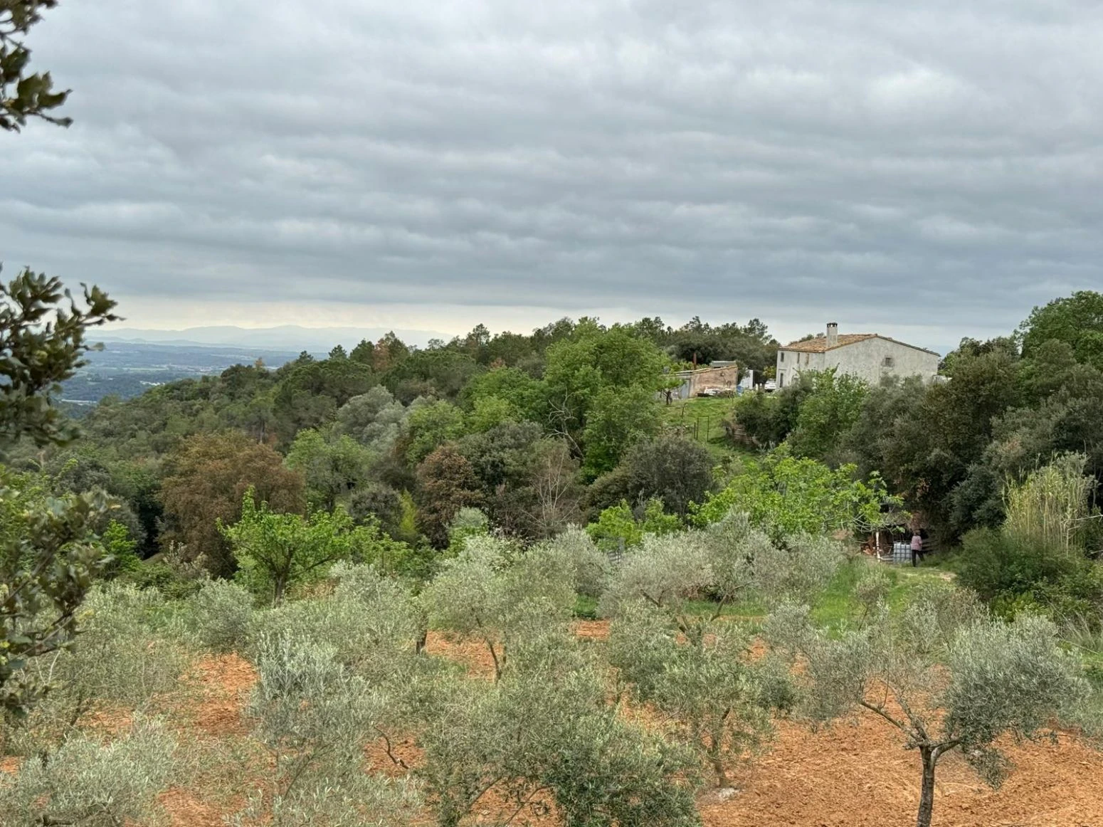 Masia en venta a Sant daniel Girona