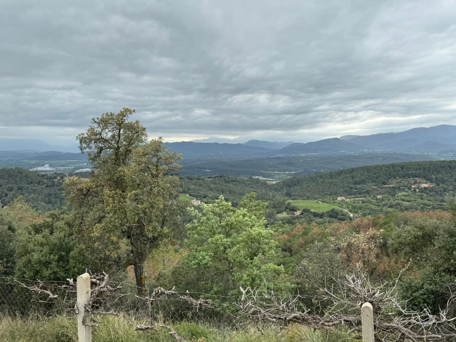 Masia en venta a Sant daniel Girona