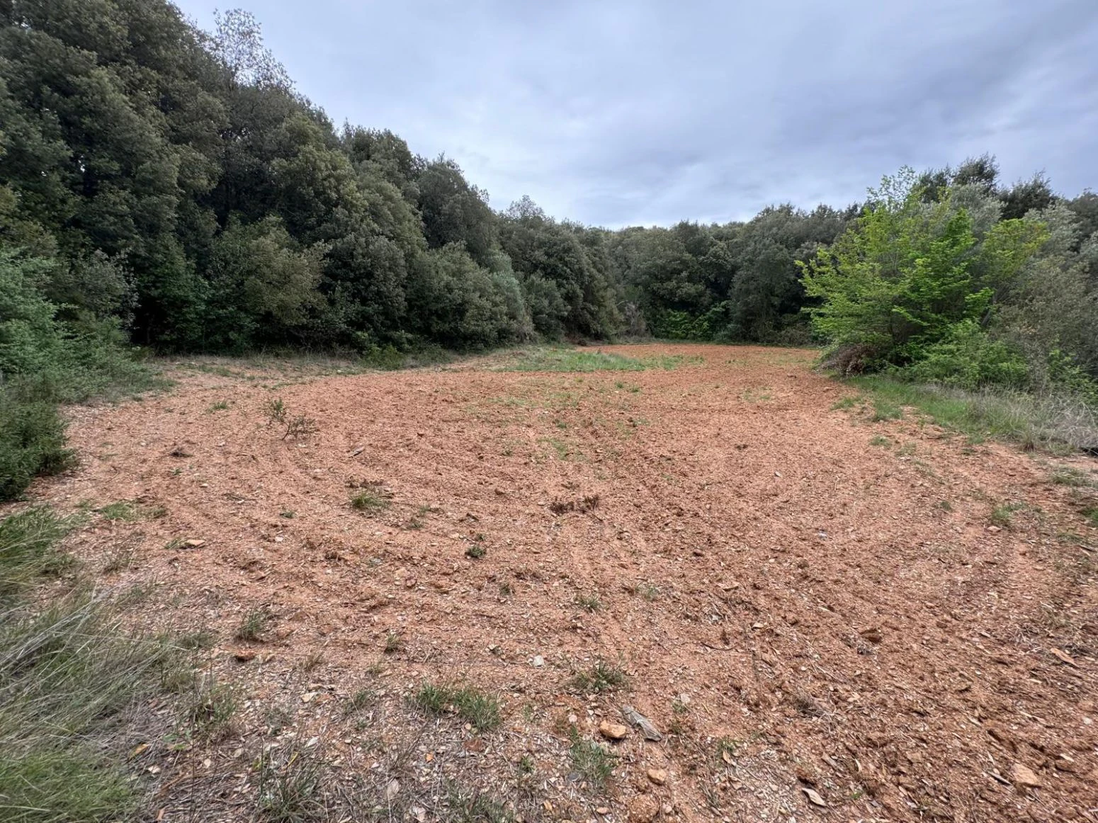 Masia en venta a Sant daniel Girona
