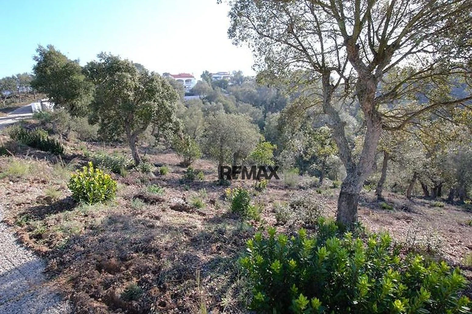 Parcela en venta en Rio de Oro, Calonge, Costa Brava.