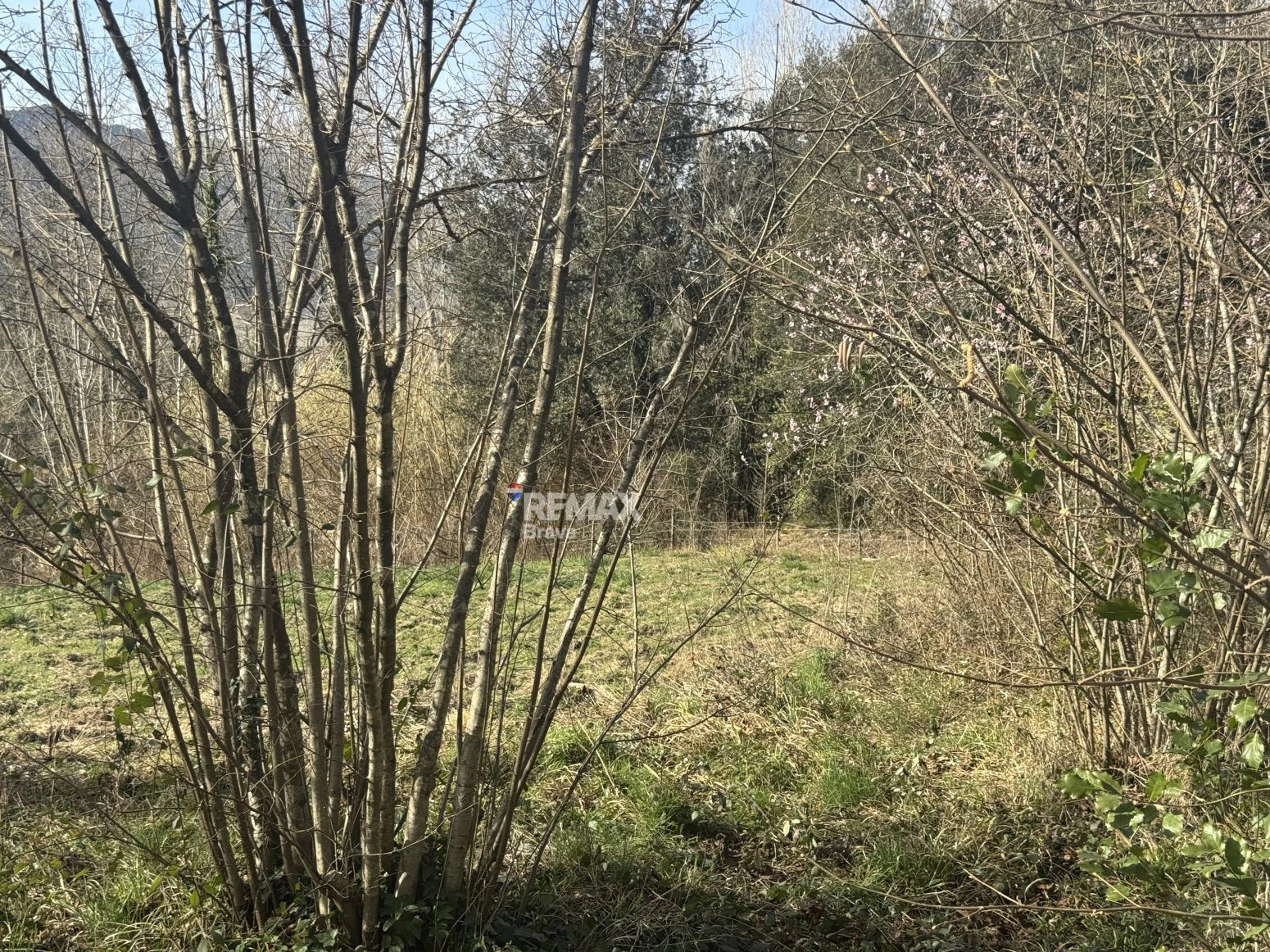 Finca única de 3,8 ha con masía y vistas al río Ter