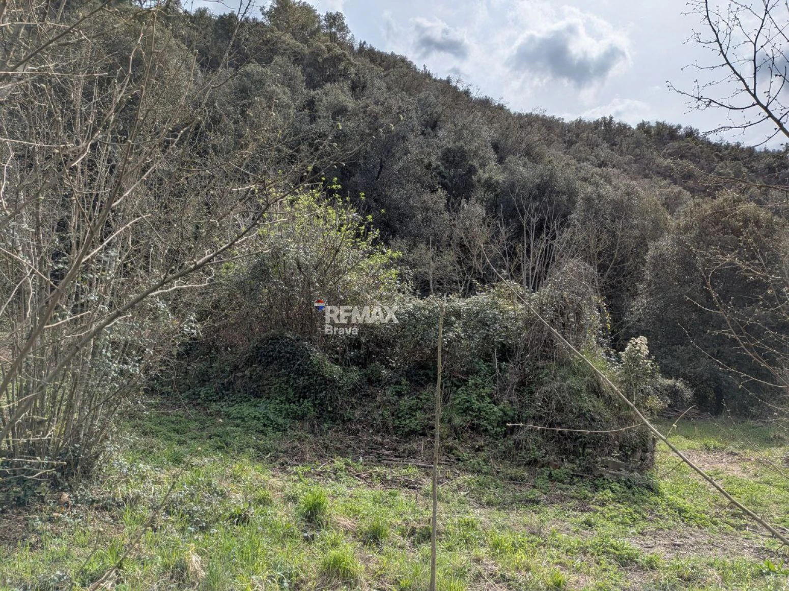 Finca única de 3,8 ha con masía y vistas al río Ter