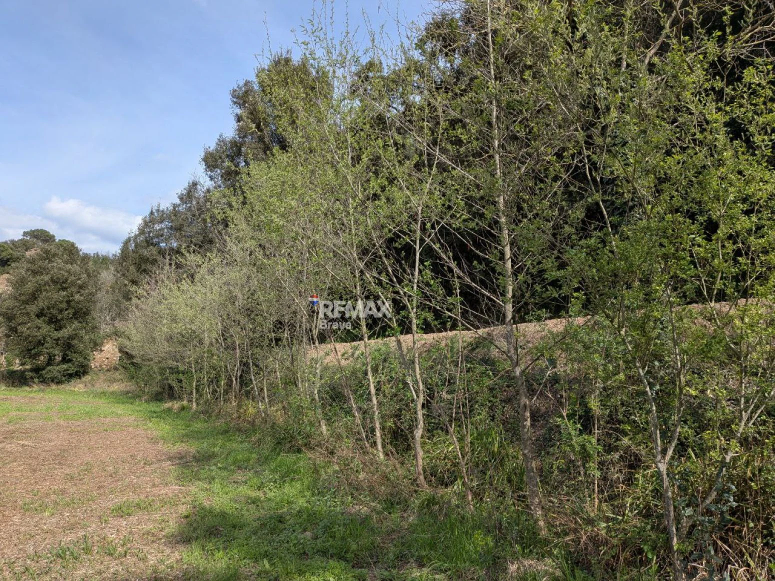 Finca única de 3,8 ha con masía y vistas al río Ter