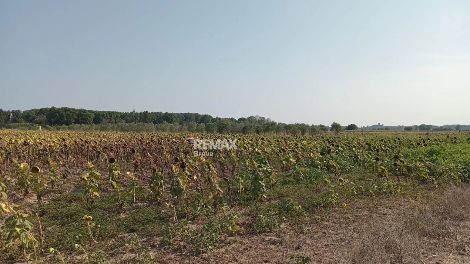 Castelló d’Empúries · Finca rústica no edificable en un entorno natural idílico