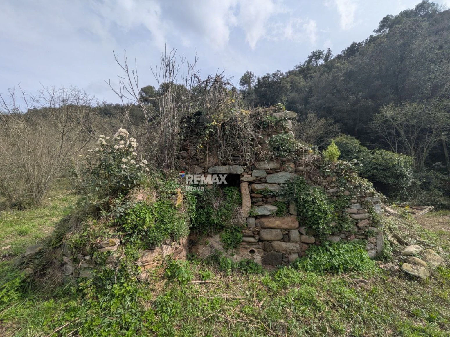 Finca única de 3,8 ha con masía y vistas al río Ter