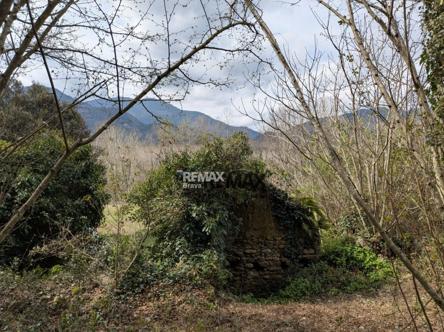 Finca única de 3,8 ha con masía y vistas al río Ter