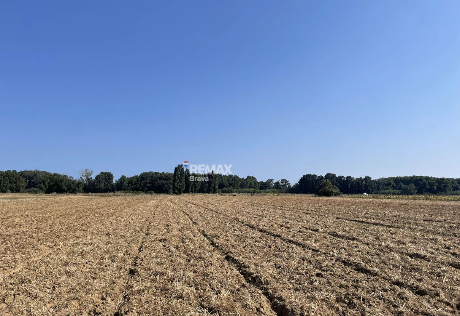 Castelló d’Empúries · Finca rústica no edificable en un entorno natural idílico