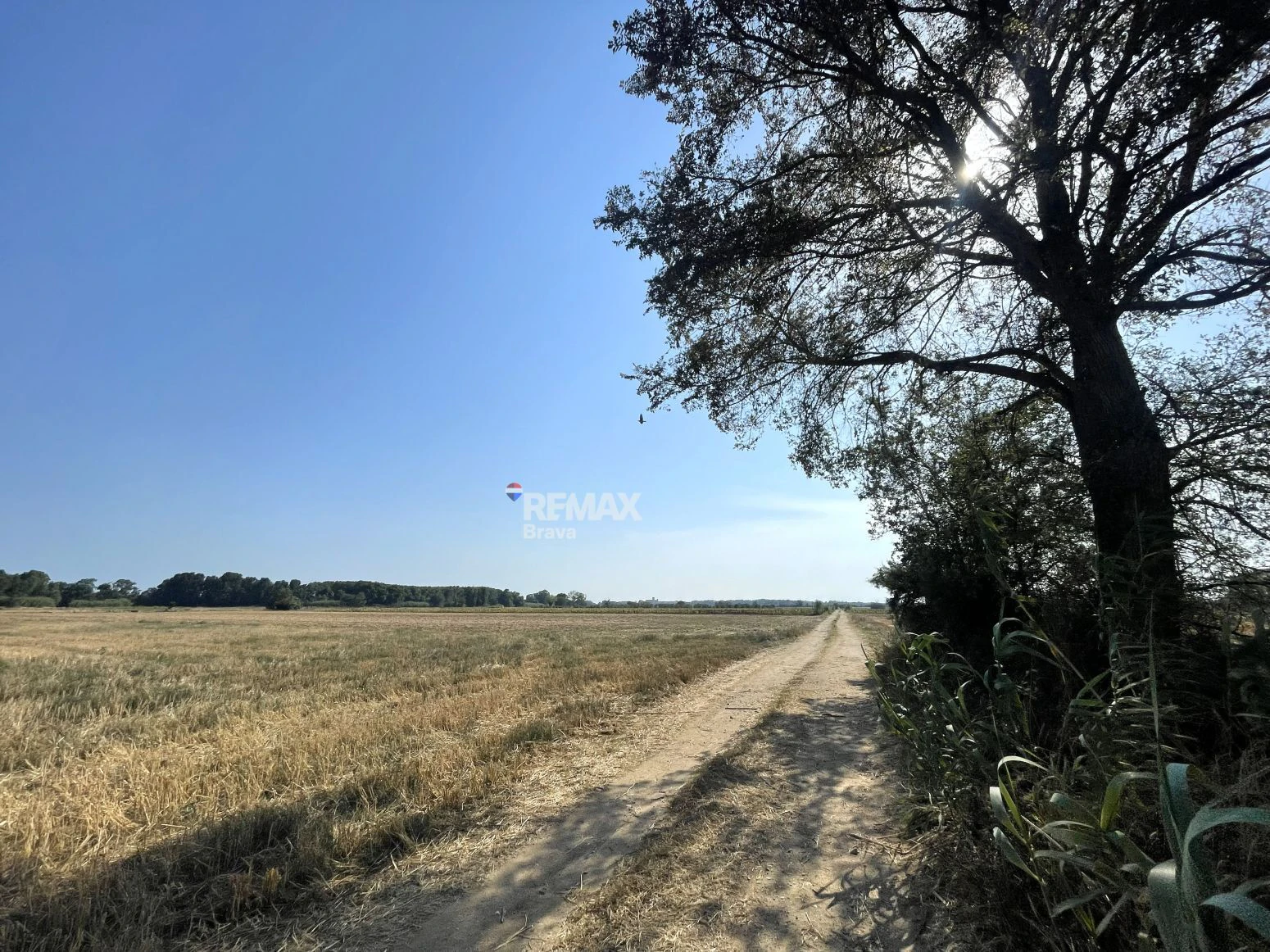 Castelló d’Empúries · Finca rústica no edificable en un entorno natural idílico