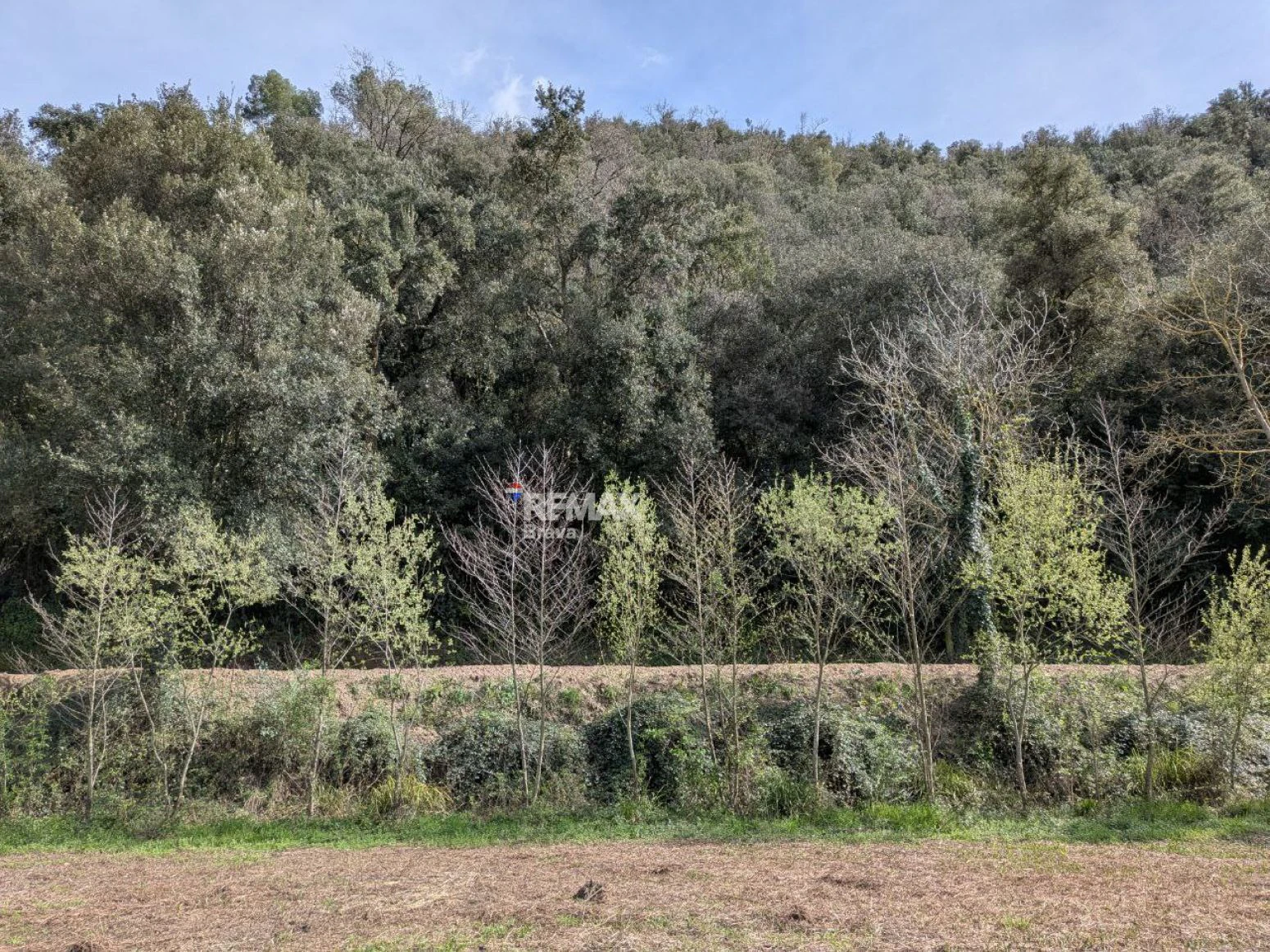 Finca única de 3,8 ha con masía y vistas al río Ter