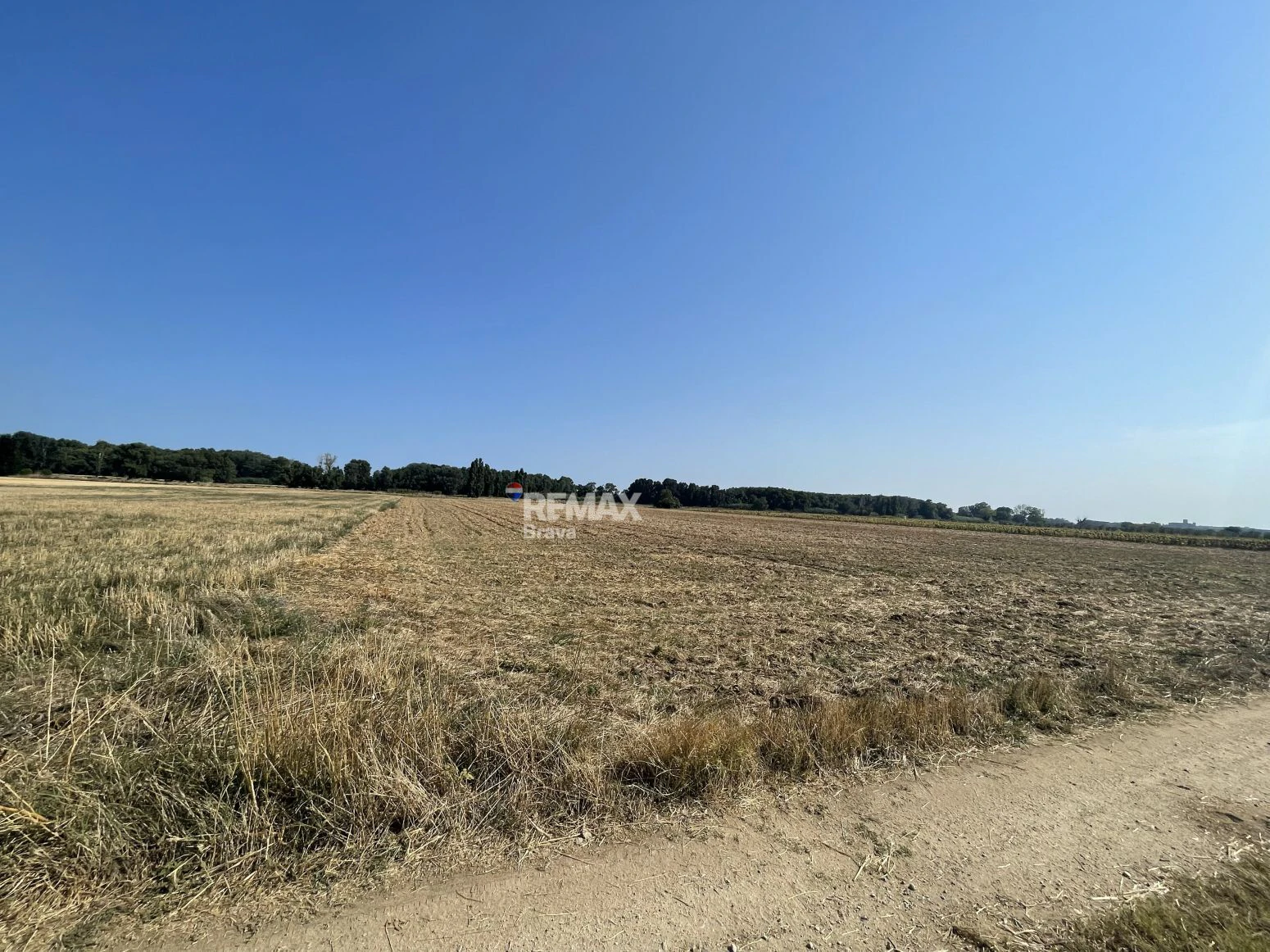 Castelló d’Empúries · Finca rústica no edificable en un entorno natural idílico