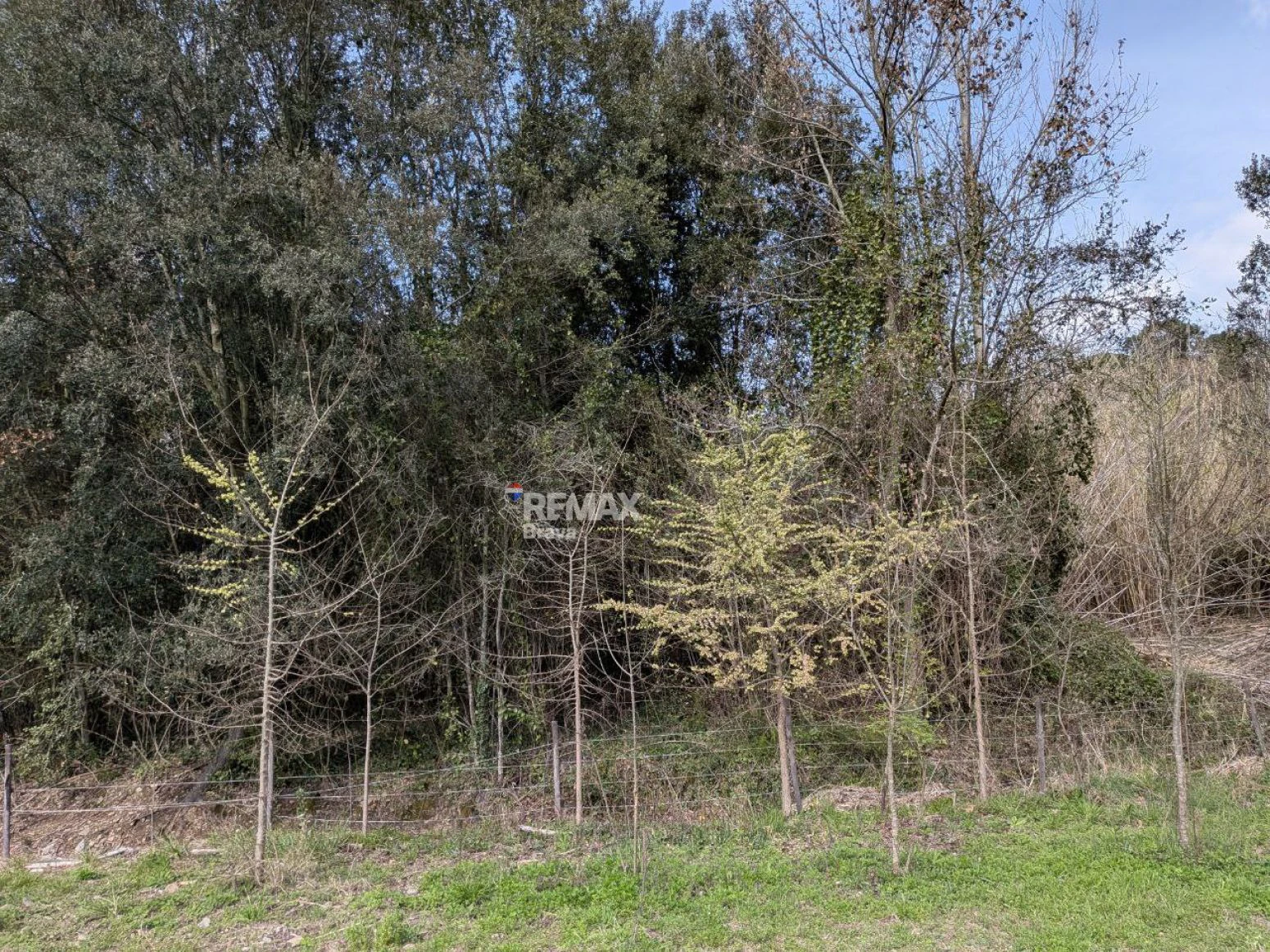 Finca única de 3,8 ha con masía y vistas al río Ter