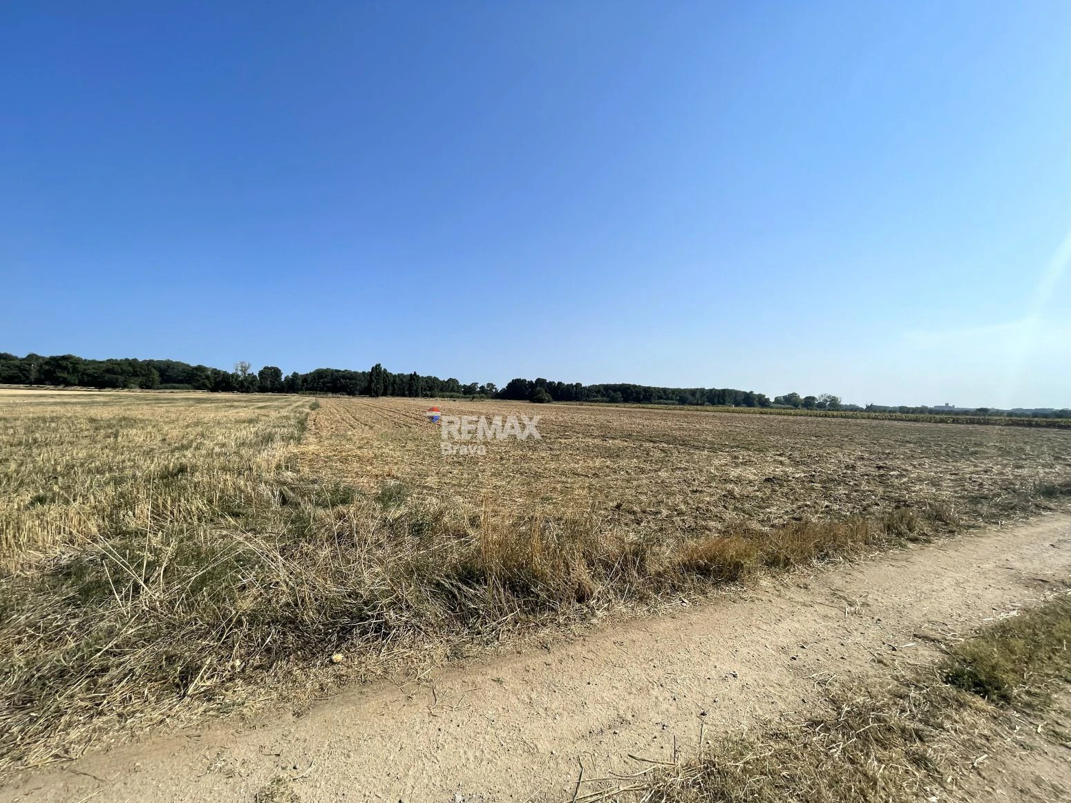 Castelló d’Empúries · Finca rústica no edificable en un entorno natural idílico