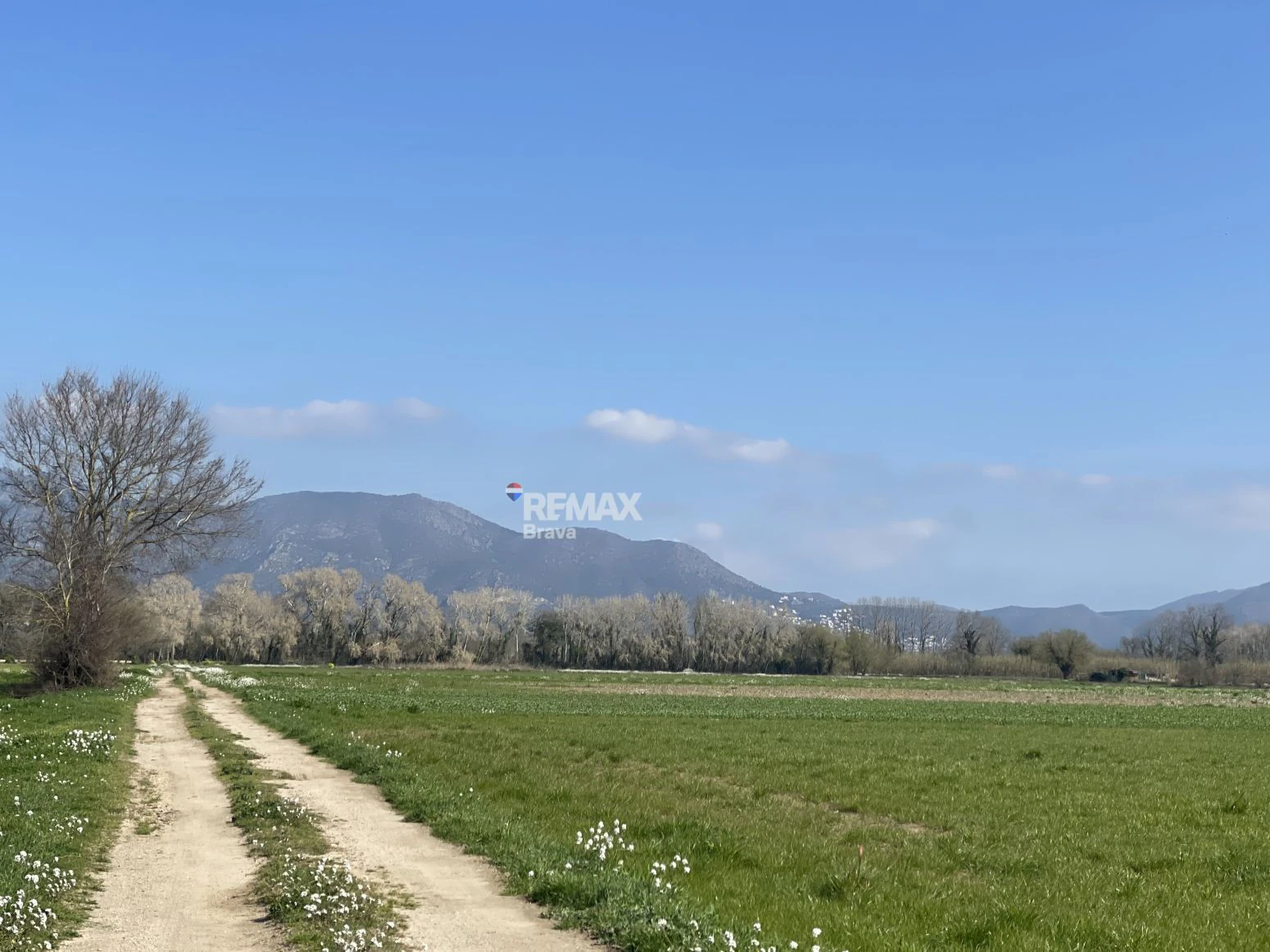 Castelló d’Empúries · Finca rústica no edificable en un entorno natural idílico