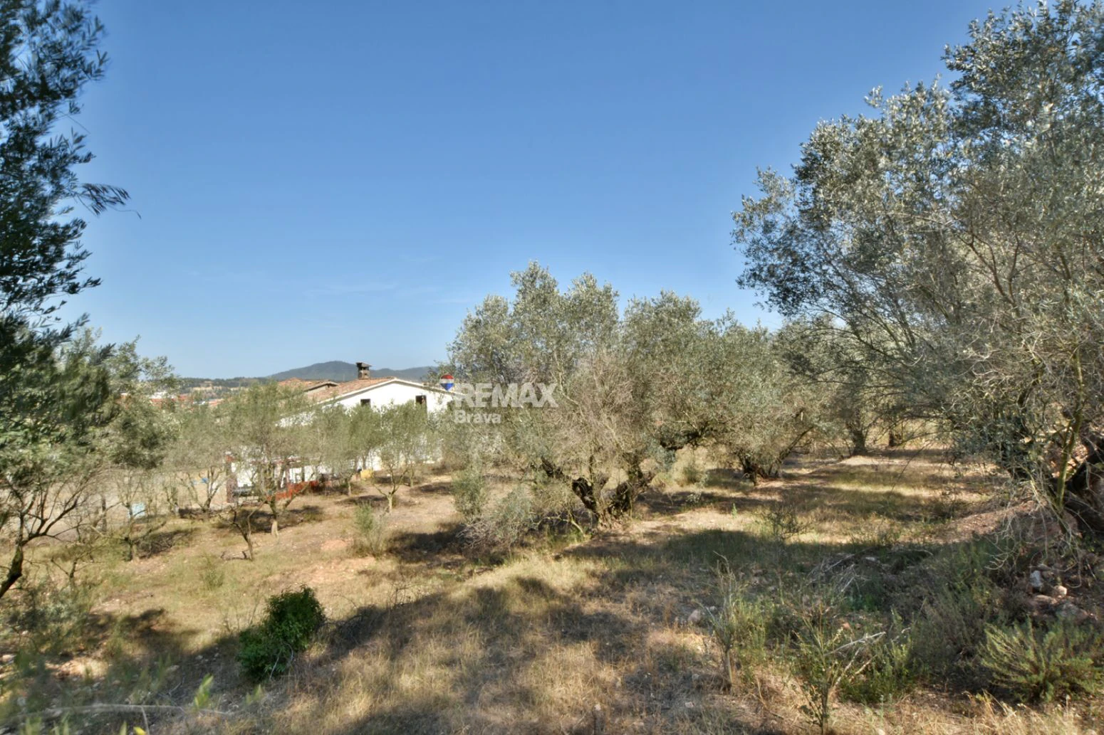 Exclusiva finca de 8.500 m² con majestuosa masía histórica en Barcelona