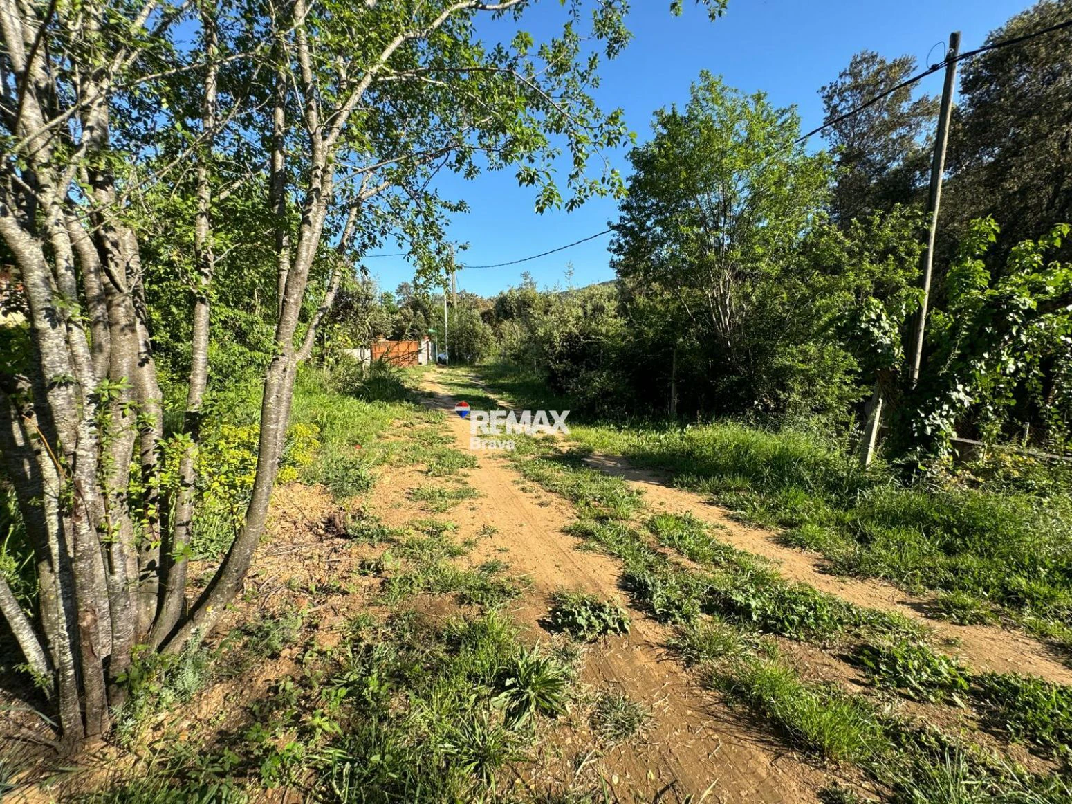Finca en Llorà (Sant Martí de Llémena, Girona) | Naturaleza, tranquilidad y gran potencial