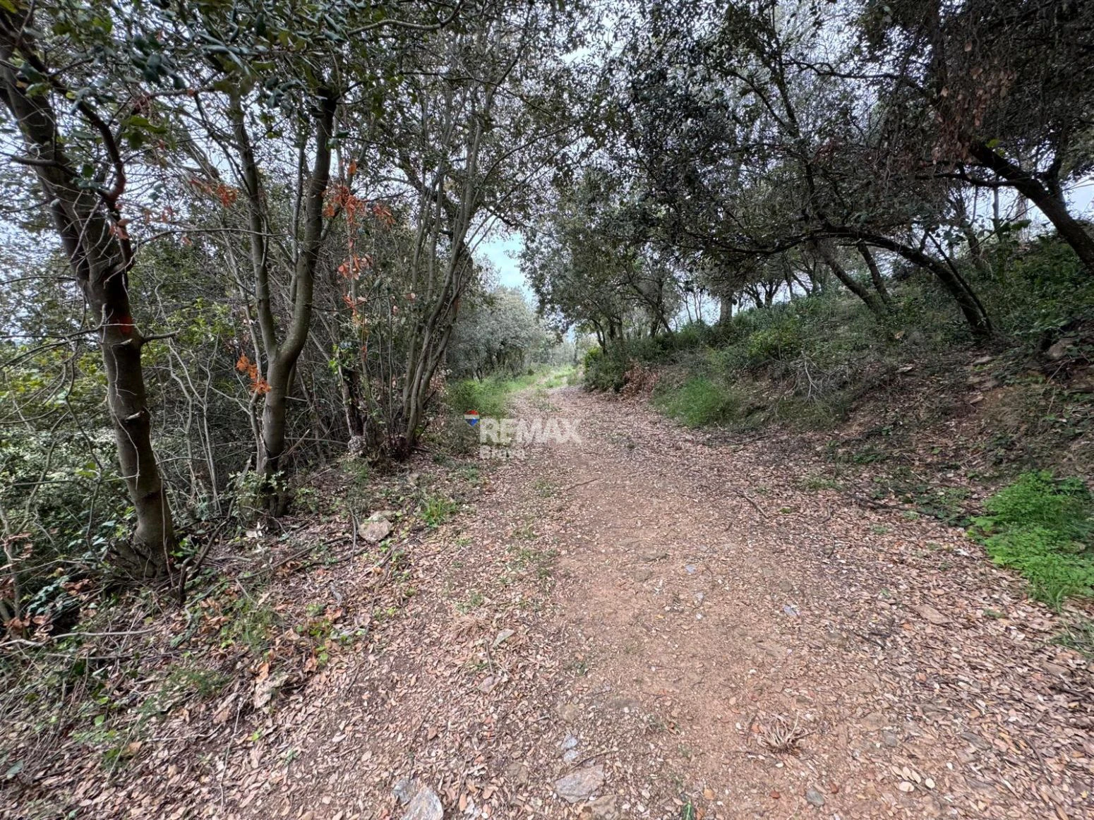 Masía en Sant Daniel (Girona) | 5 habitaciones, 3 baños y gran finca con múltiples posibilidades