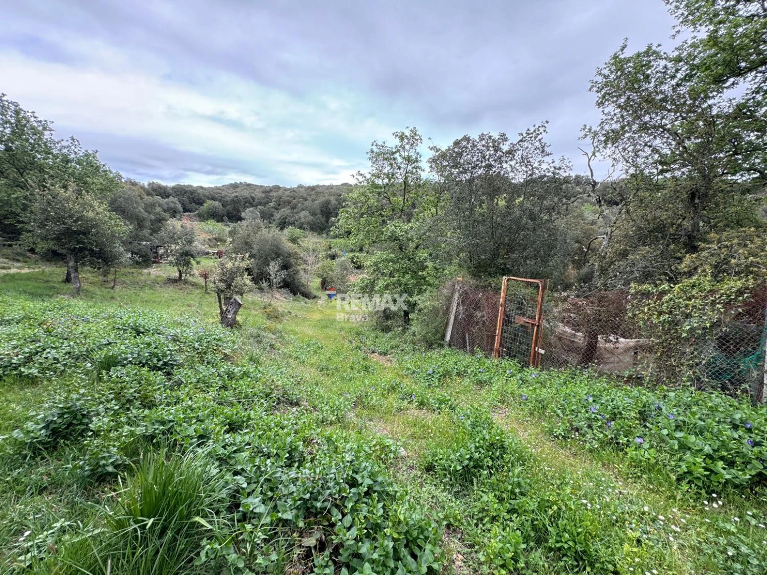 Masía en Sant Daniel (Girona) | 5 habitaciones, 3 baños y gran finca con múltiples posibilidades