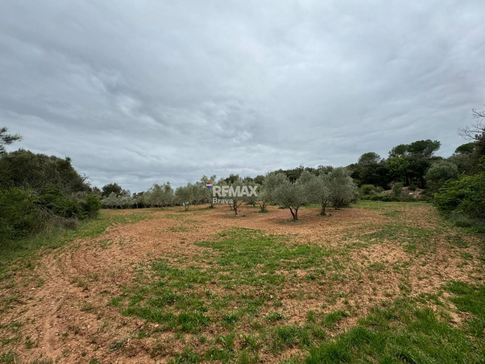 Masía en Sant Daniel (Girona) | 5 habitaciones, 3 baños y gran finca con múltiples posibilidades