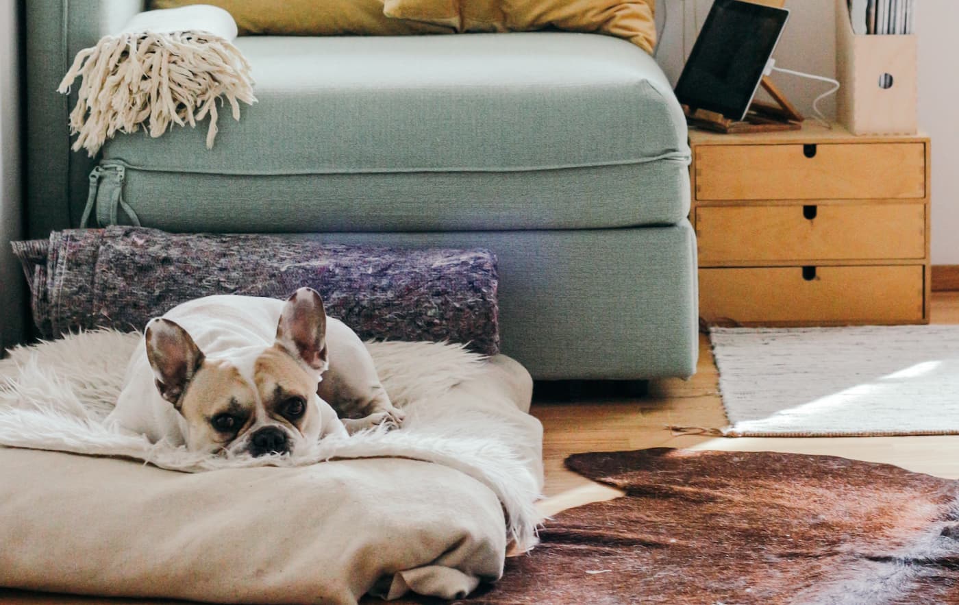 Tips to improve the thermal insulation of your home