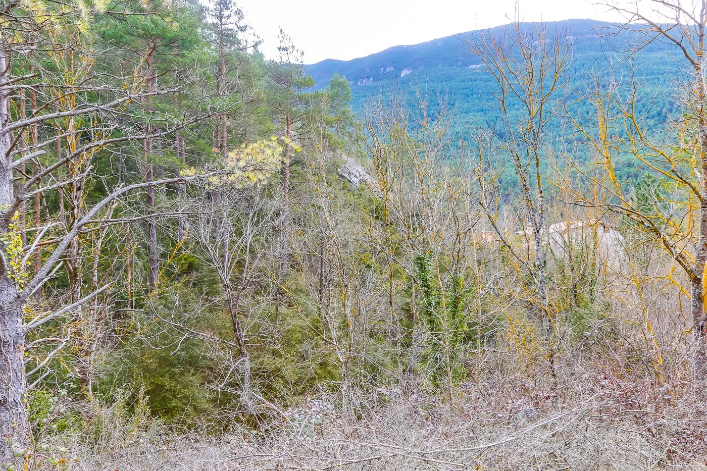 1750 - Domaine avec mas + refuge de montagne