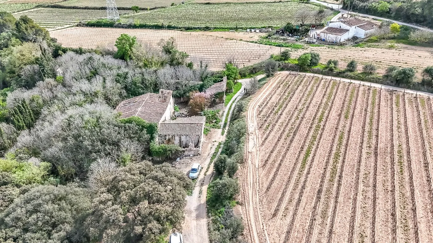 4564 - Masía a reformar con viña en Sant Martí Sarroca