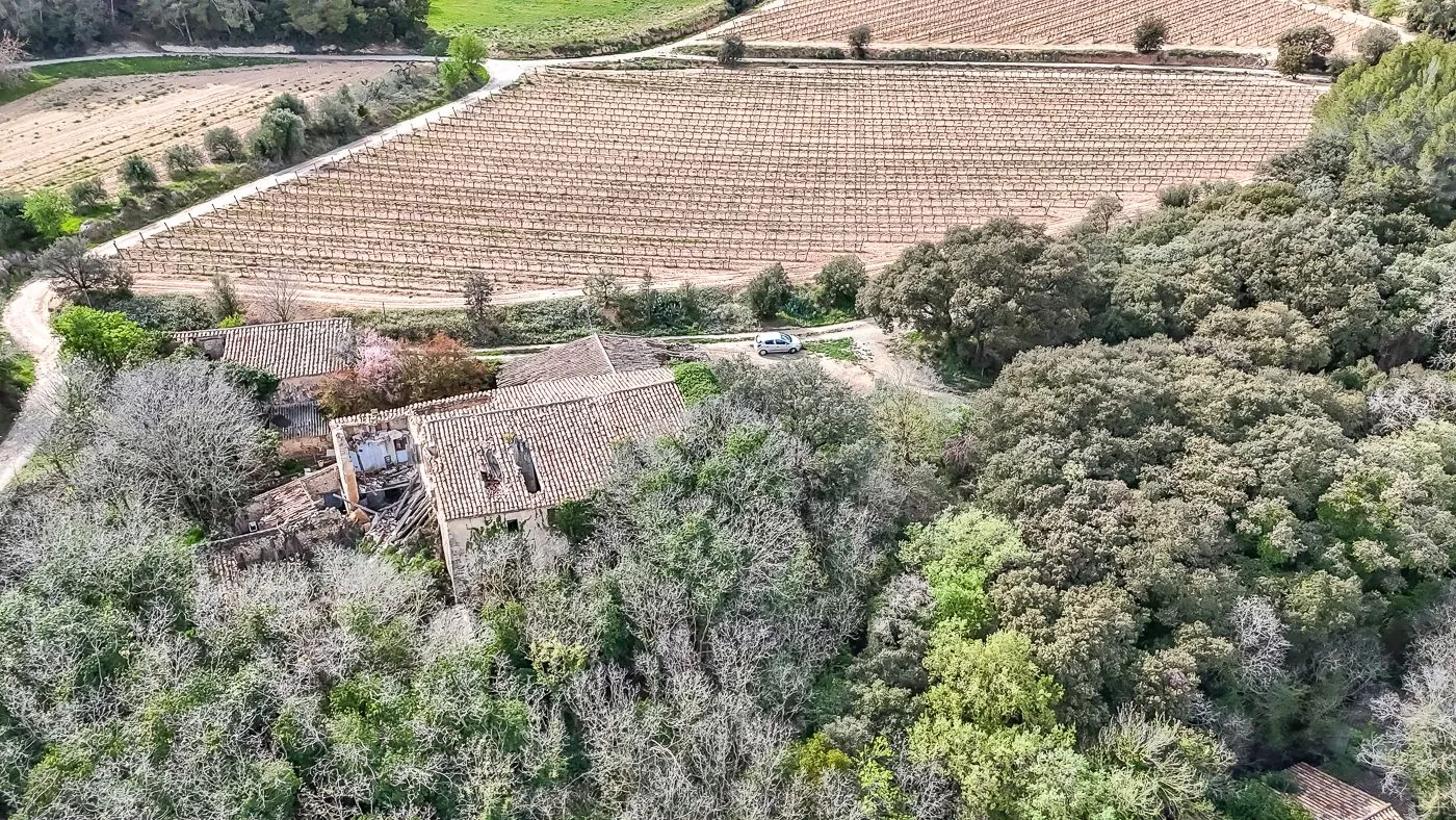 4564 - Masía a reformar con viña en Sant Martí Sarroca