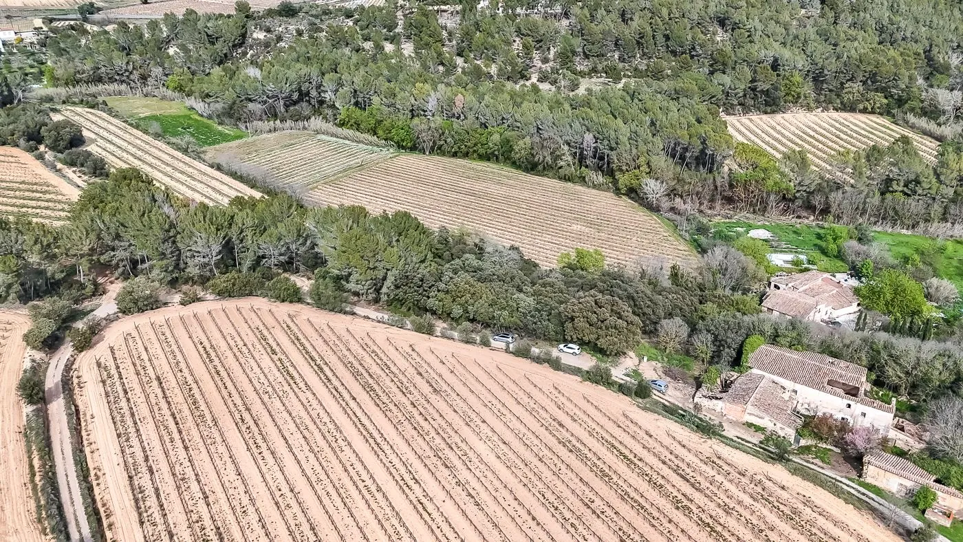4564 - Masía a reformar con viña en Sant Martí Sarroca