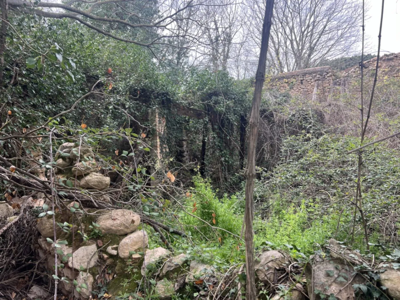 4564 - Masía a reformar con viña en Sant Martí Sarroca