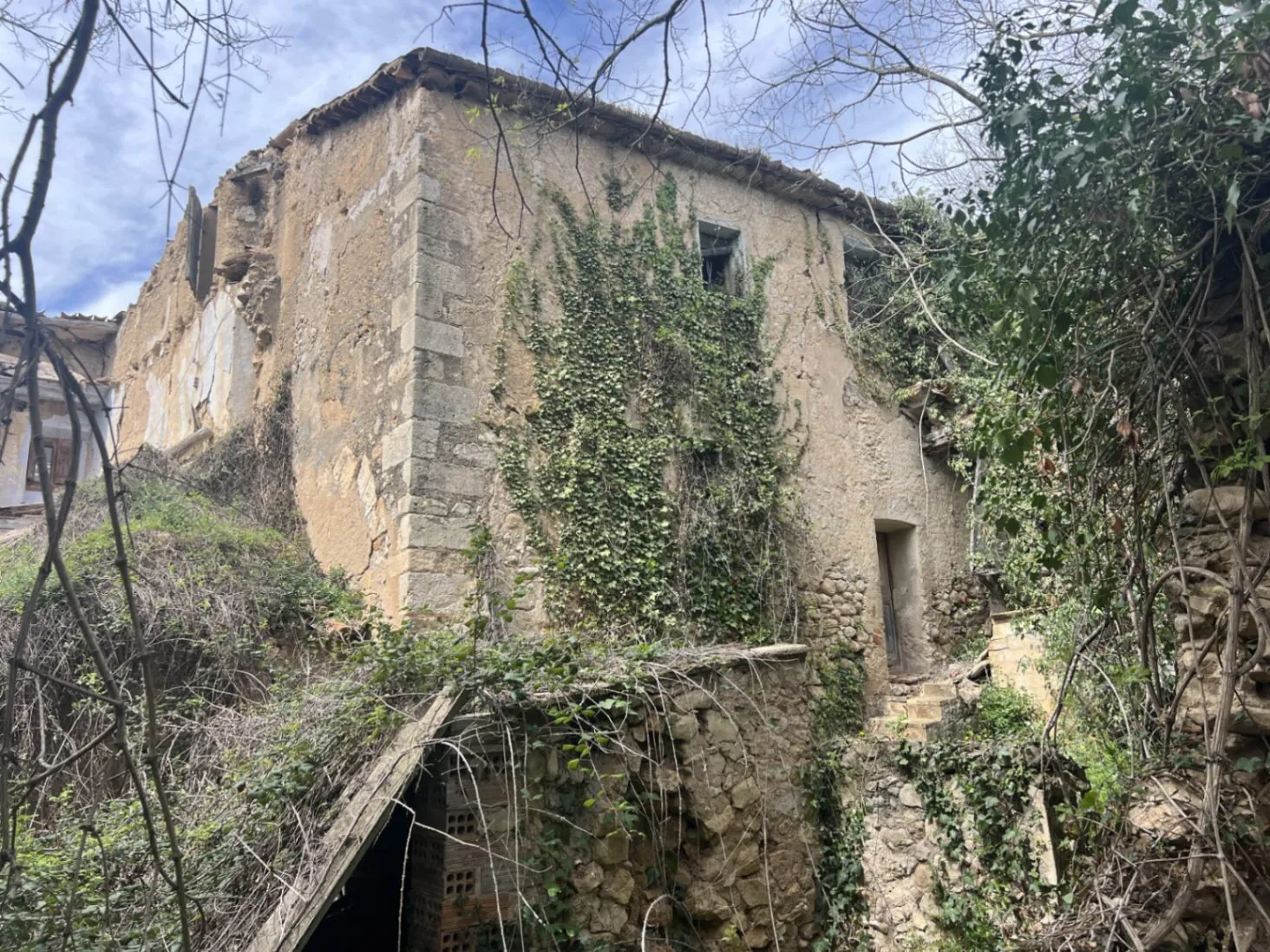 4564 - Masía a reformar con viña en Sant Martí Sarroca