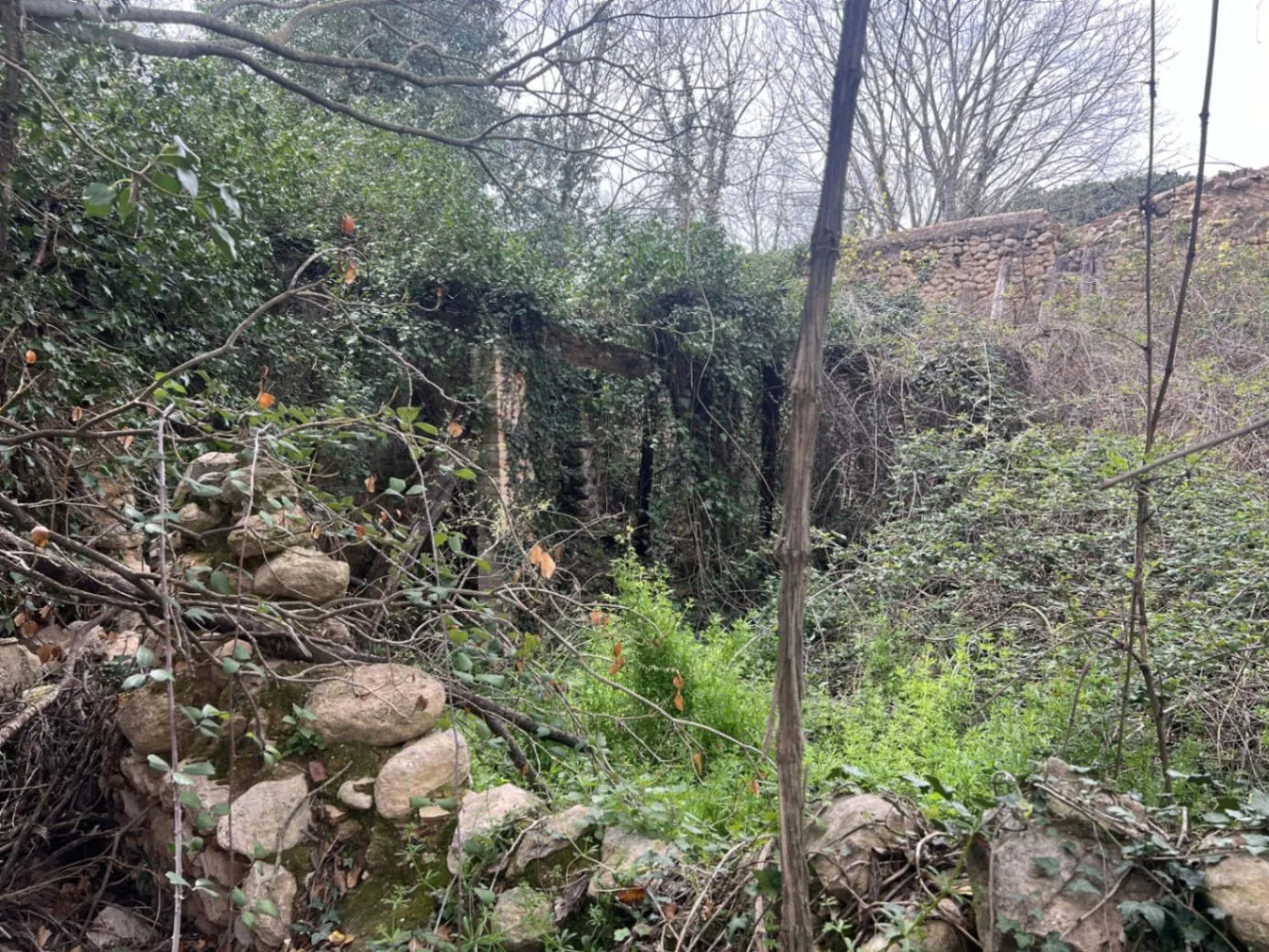 4564 - Masía a reformar con viña en Sant Martí Sarroca