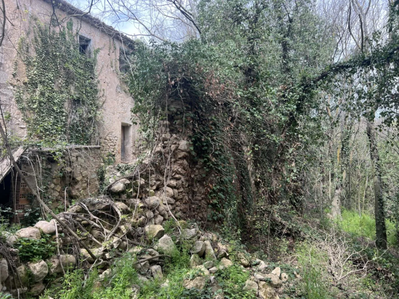 4564 - Masía a reformar con viña en Sant Martí Sarroca