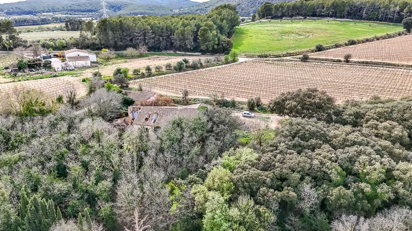 4564 - Masía a reformar con viña en Sant Martí Sarroca