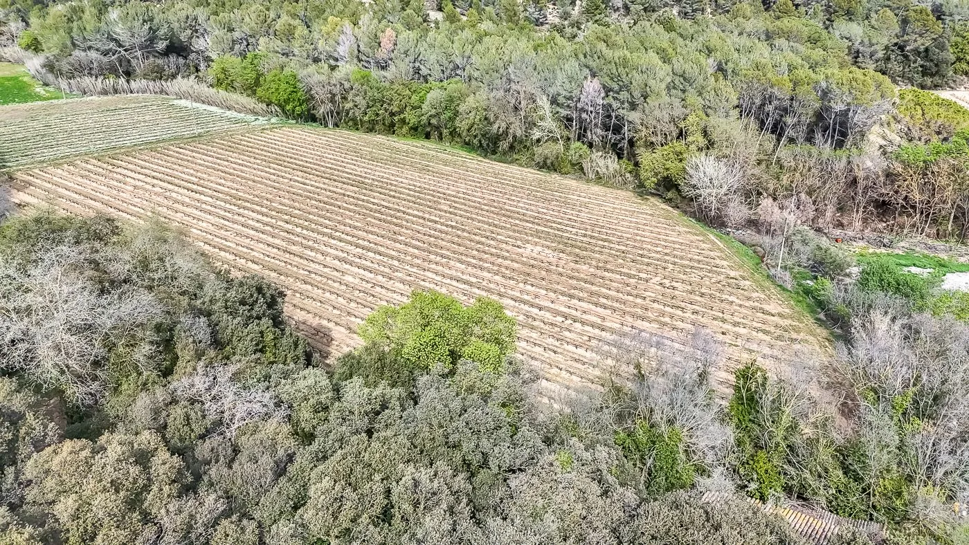4564 - Masía a reformar con viña en Sant Martí Sarroca