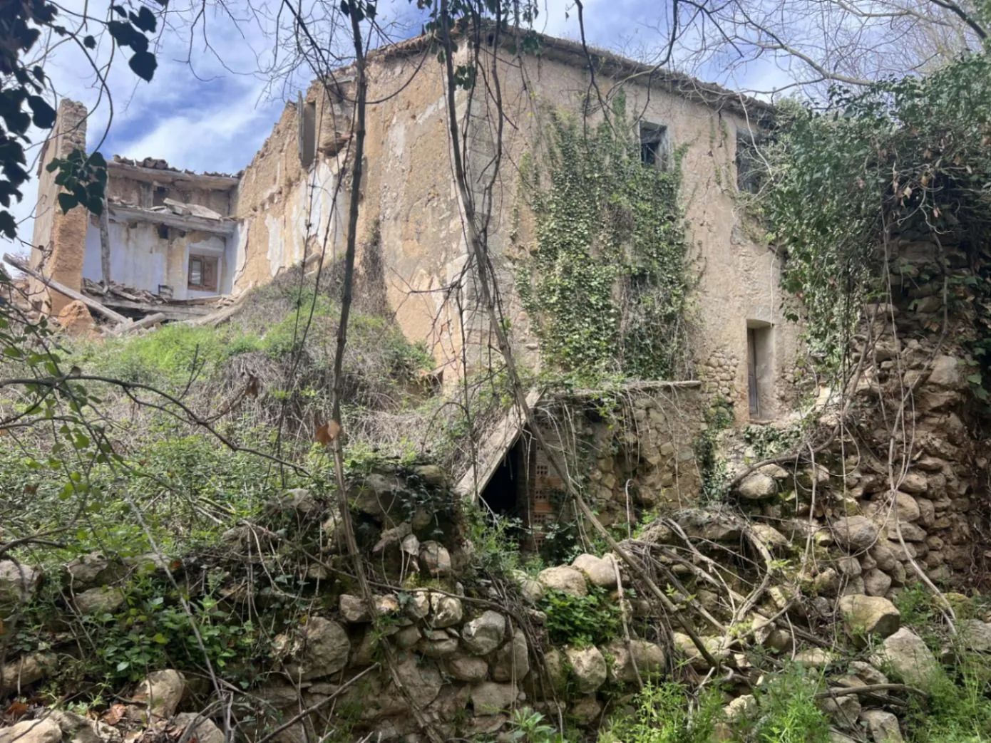 4564 - Masía a reformar con viña en Sant Martí Sarroca