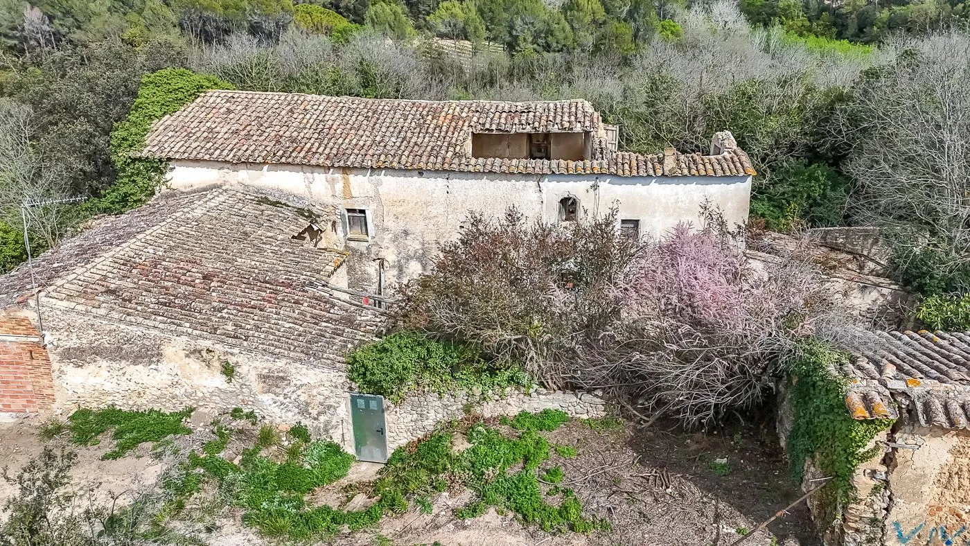 4564 - Masía a reformar con viña en Sant Martí Sarroca
