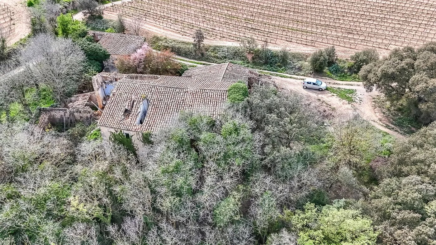 4564 - Masía a reformar con viña en Sant Martí Sarroca