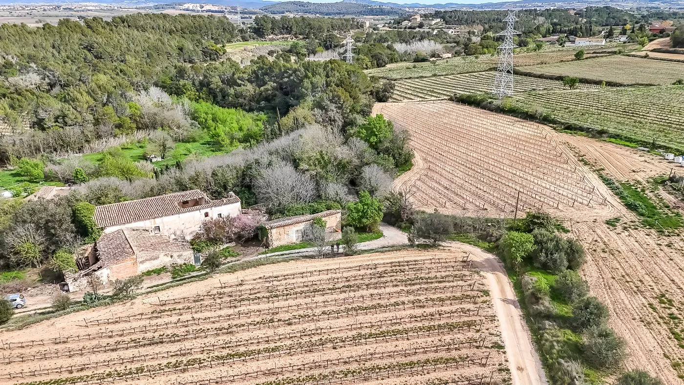 4564 - Masía a reformar con viña en Sant Martí Sarroca