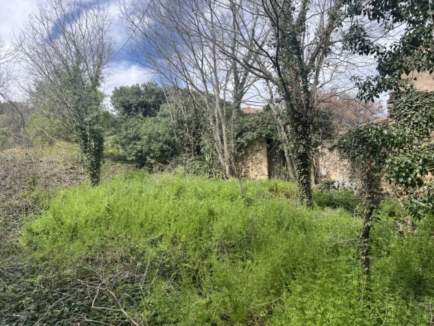 4564 - Masía a reformar con viña en Sant Martí Sarroca