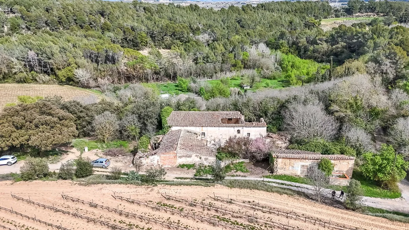 4564 - Masía a reformar con viña en Sant Martí Sarroca