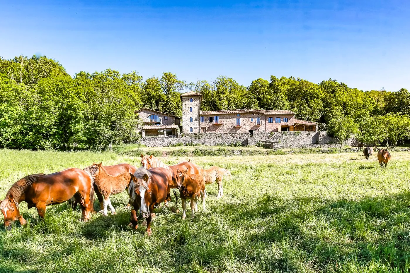 7514 - Magnificent farmhouse just 10 minutes from Camprodon